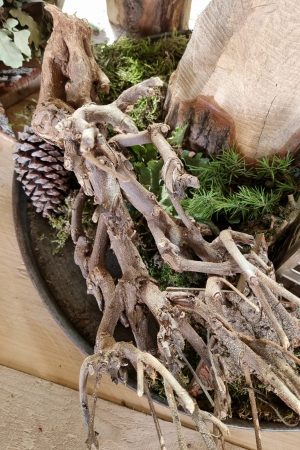 Deko Ast Äste Wurzeln dekoholz Naturdeko im Mrs Greenery Shop bestellen kaufen