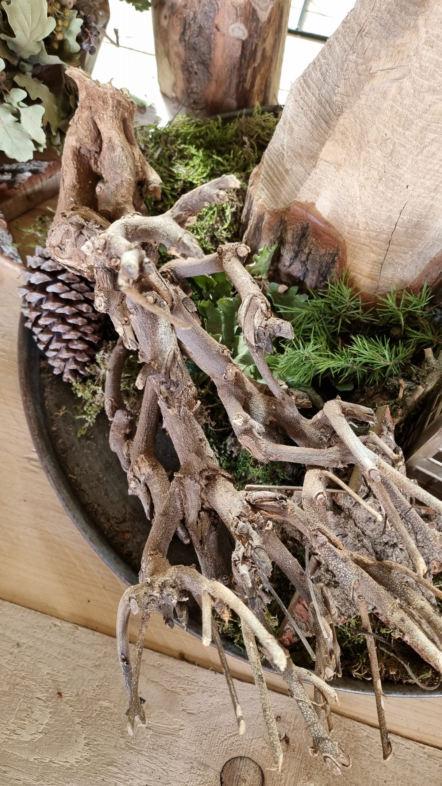 Deko Ast Äste Wurzeln dekoholz Naturdeko im Mrs Greenery Shop bestellen kaufen