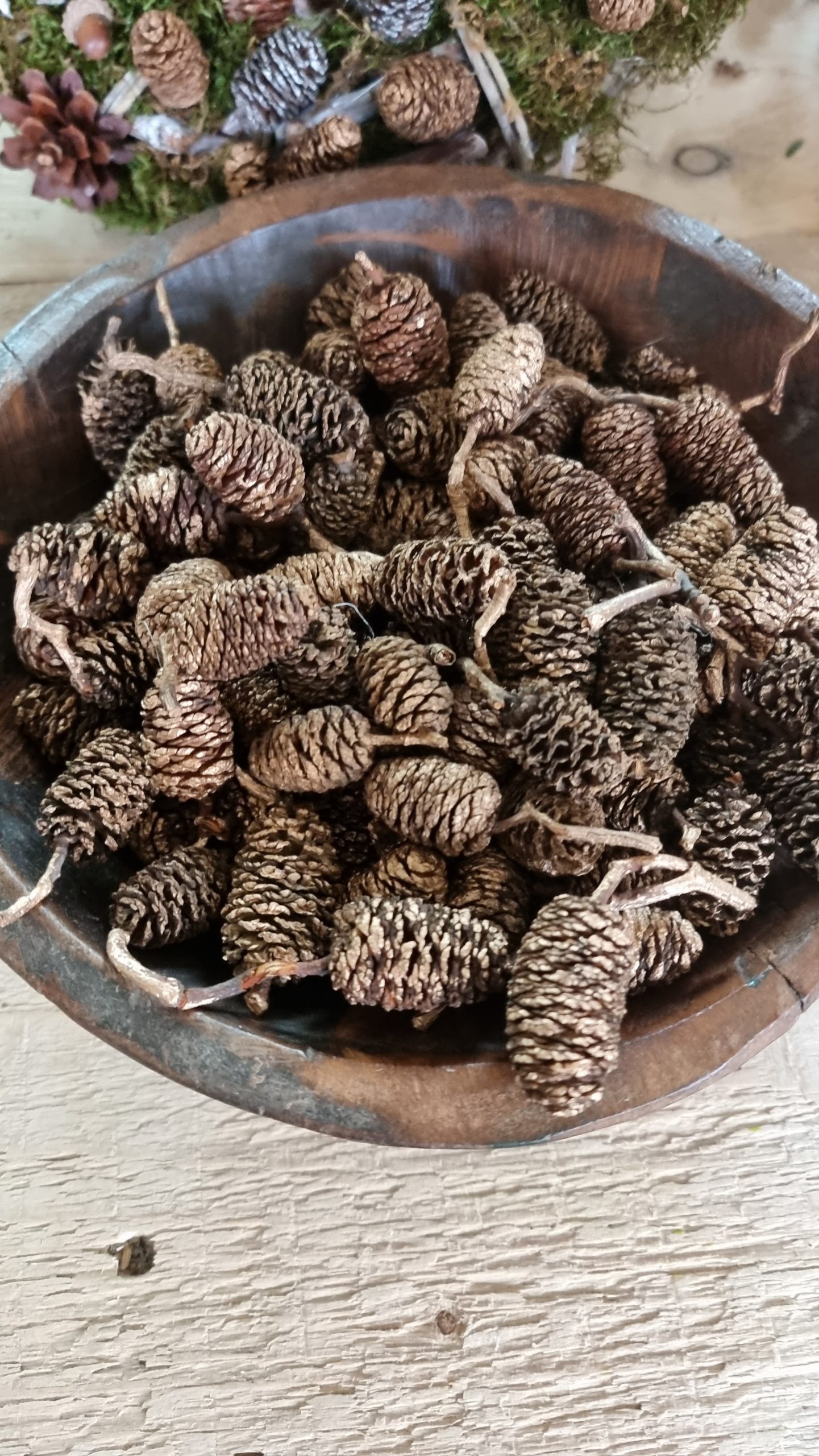 zapfen erle erlzapfen naturzapfen weihnachtsdeko winterdeko mrs greenery shop bestellen kaufen