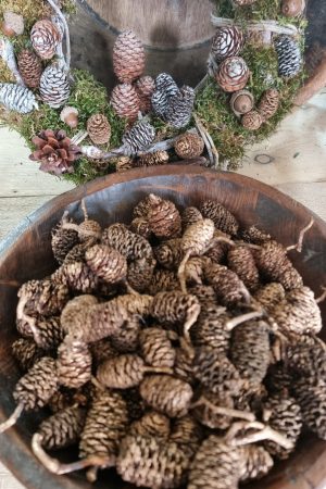 zapfen erle erlzapfen naturzapfen weihnachtsdeko winterdeko mrs greenery shop bestellen kaufen