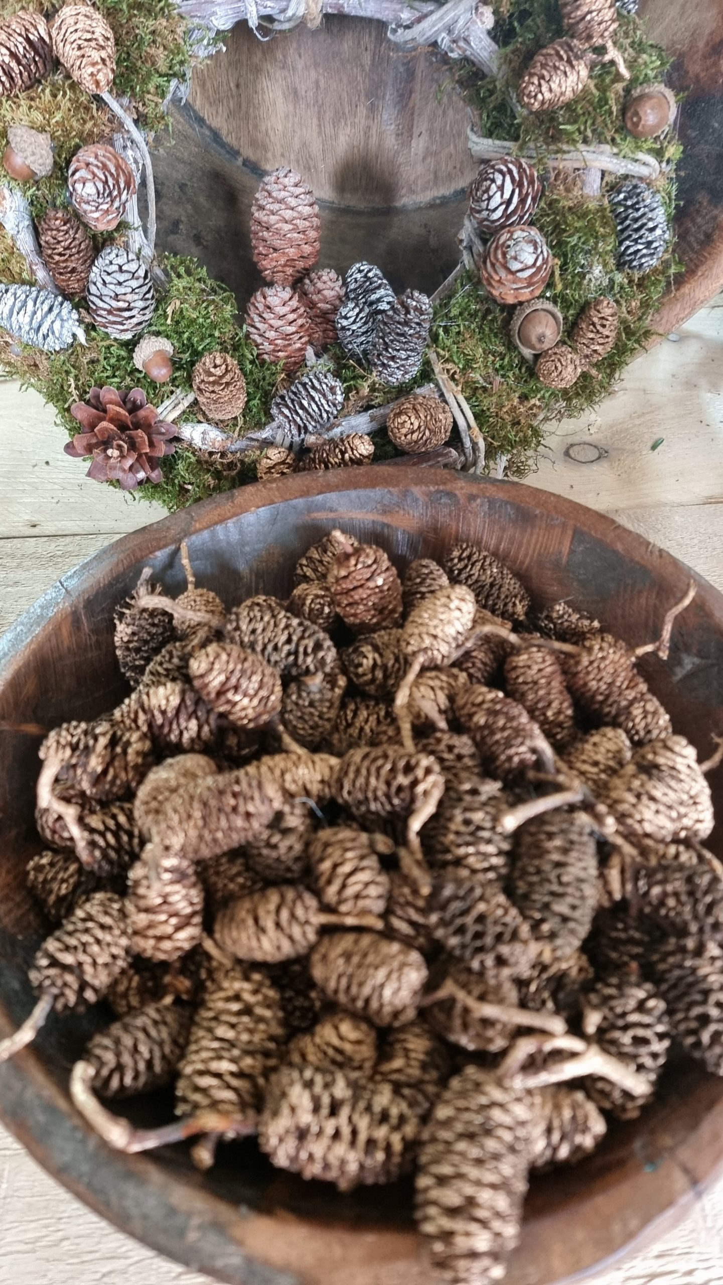 zapfen erle erlzapfen naturzapfen weihnachtsdeko winterdeko mrs greenery shop bestellen kaufen