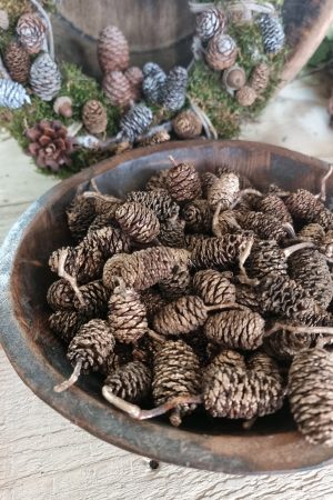 zapfen erle erlzapfen naturzapfen weihnachtsdeko winterdeko mrs greenery shop bestellen kaufen