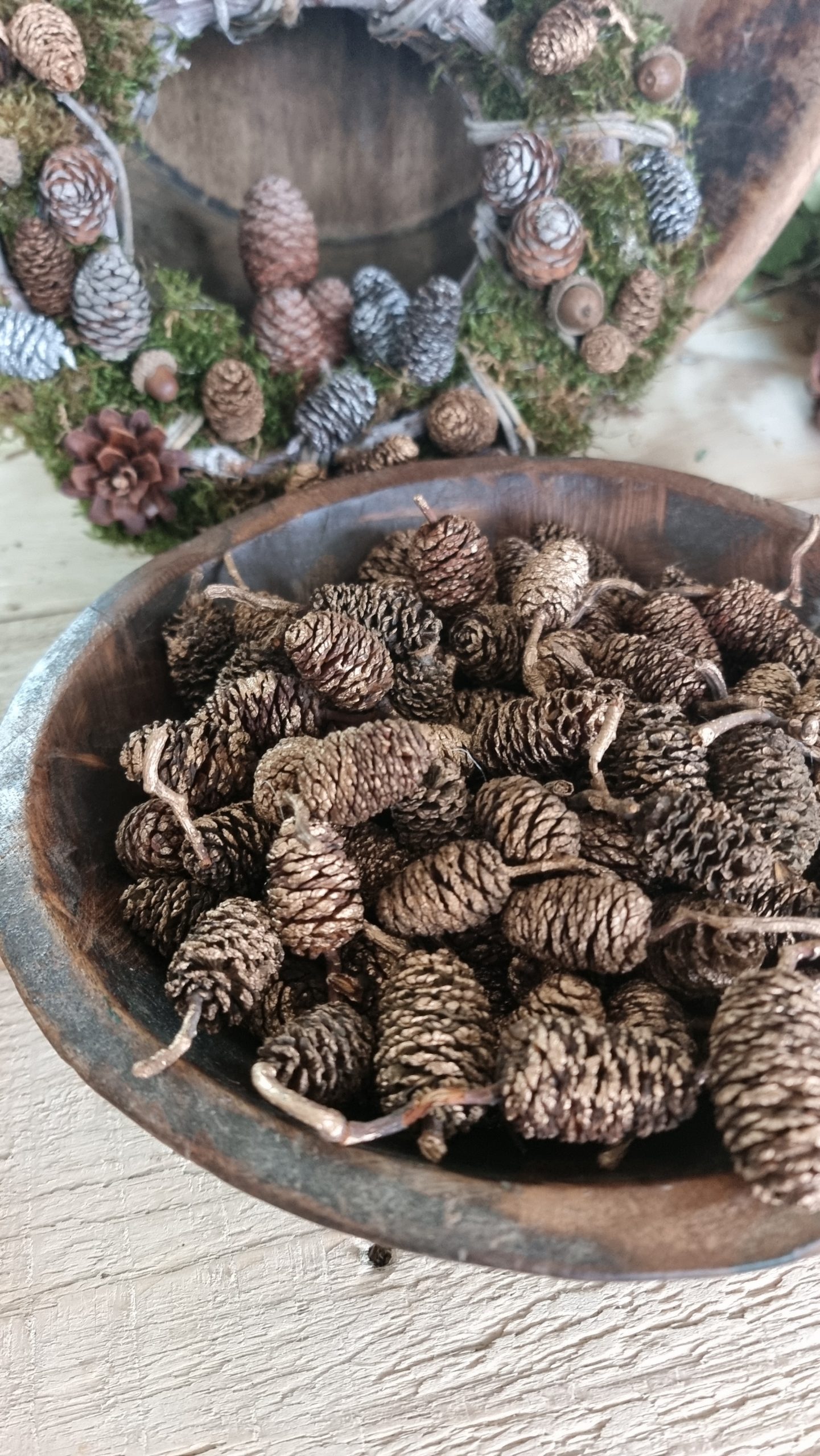 zapfen erle erlzapfen naturzapfen weihnachtsdeko winterdeko mrs greenery shop bestellen kaufen