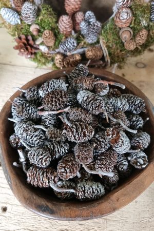zapfen erle erlzapfen naturzapfen weihnachtsdeko winterdeko mrs greenery shop bestellen kaufen