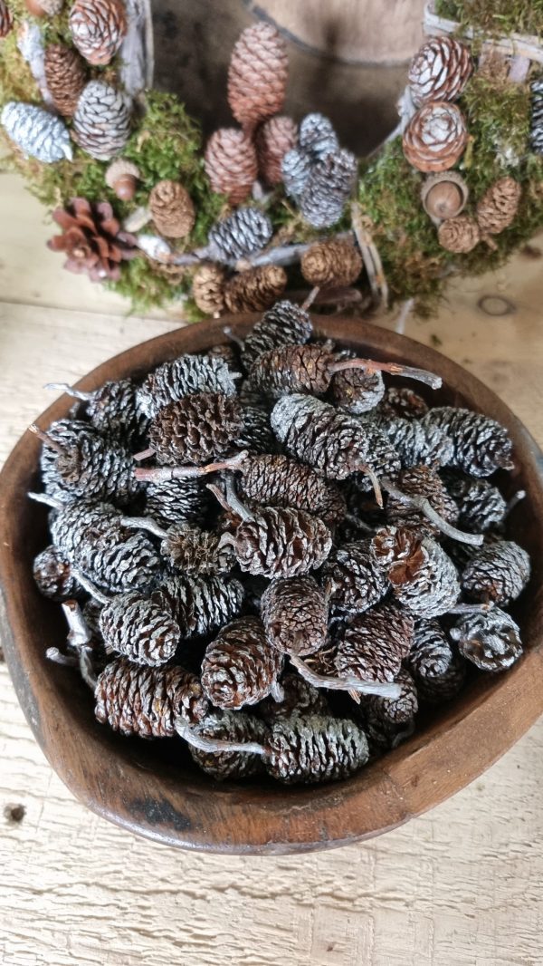 zapfen erle erlzapfen naturzapfen weihnachtsdeko winterdeko mrs greenery shop bestellen kaufen
