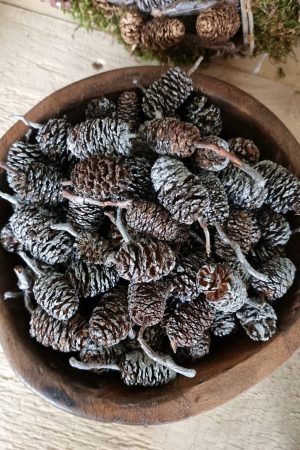 zapfen erle erlzapfen naturzapfen weihnachtsdeko winterdeko mrs greenery shop bestellen kaufen
