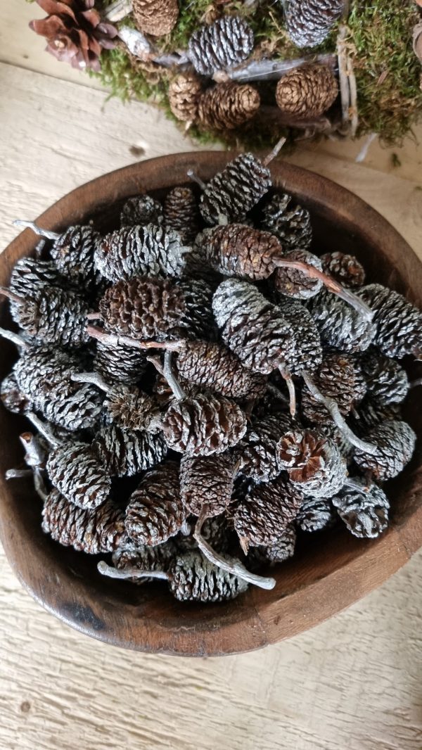 zapfen erle erlzapfen naturzapfen weihnachtsdeko winterdeko mrs greenery shop bestellen kaufen