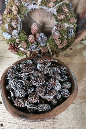 zapfen erle erlzapfen naturzapfen weihnachtsdeko winterdeko mrs greenery shop bestellen kaufen