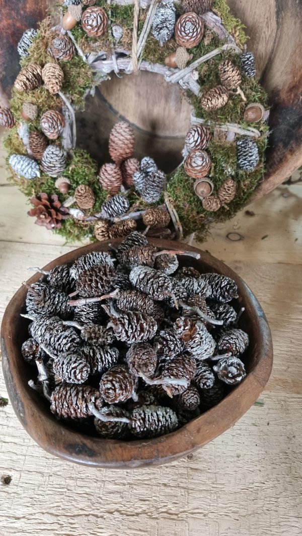 zapfen erle erlzapfen naturzapfen weihnachtsdeko winterdeko mrs greenery shop bestellen kaufen