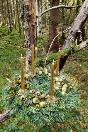 DIY Kreativ-Set Adventskranz Kranz Kränze selberbinden Advent Sparkling funkelnd grüner Adventskranz Trockenblumen grün Wintergrün im Mrs Greenery Shop bestellen Greenery Adventskränze bio selber binden oder stecken