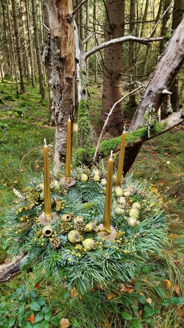DIY Kreativ-Set Adventskranz Kranz Kränze selberbinden Advent Sparkling funkelnd grüner Adventskranz Trockenblumen grün Wintergrün im Mrs Greenery Shop bestellen Greenery Adventskränze bio selber binden oder stecken