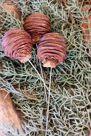 spirakzapfen platyspermum zapfen herbstdeko weihnachtsdeko winterdeko zum stecken draht im mrs greenery shop bestellen kaufen