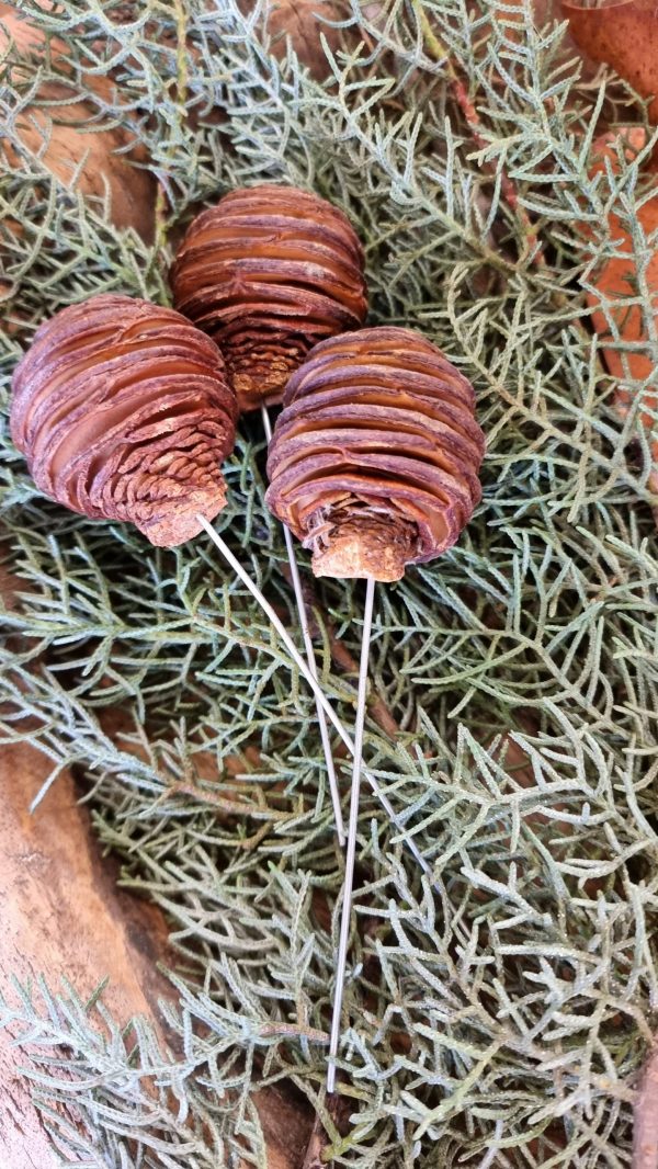 spirakzapfen platyspermum zapfen herbstdeko weihnachtsdeko winterdeko zum stecken draht im mrs greenery shop bestellen kaufen