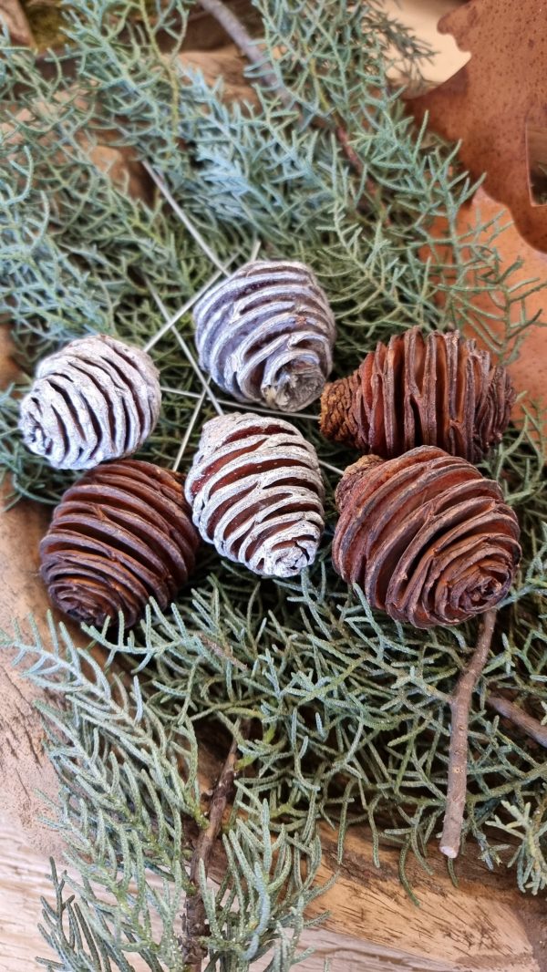 spirakzapfen platyspermum zapfen herbstdeko weihnachtsdeko winterdeko zum stecken draht im mrs greenery shop bestellen kaufen