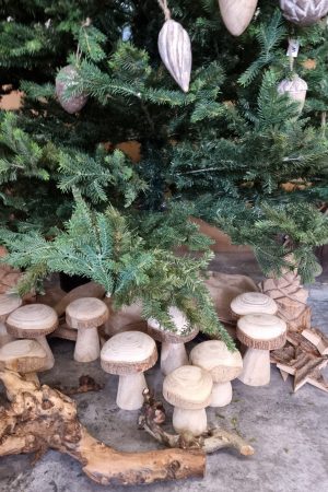 Holzpilz Pilz aus Holz Dekopilz Holzdeko im Mrs Greenery Shop bestellen kaufen