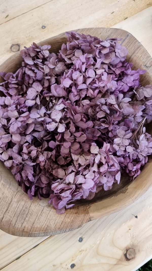 Hortensienblüten getrocknet Trockenblumen Hortensie violett rosa kreativsein im Mrs Greenery Shop bestellen kaufen