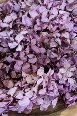 Hortensienblüten getrocknet Trockenblumen Hortensie violett rosa kreativsein im Mrs Greenery Shop bestellen kaufen
