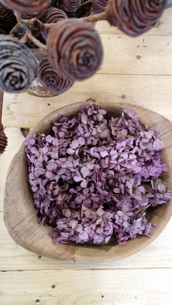 Hortensienblüten getrocknet Trockenblumen Hortensie violett rosa kreativsein im Mrs Greenery Shop bestellen kaufen