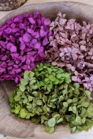 Hortensienblüten getrocknet Trockenblumen Hortensie violett rosa grün kreativsein im Mrs Greenery Shop bestellen kaufen