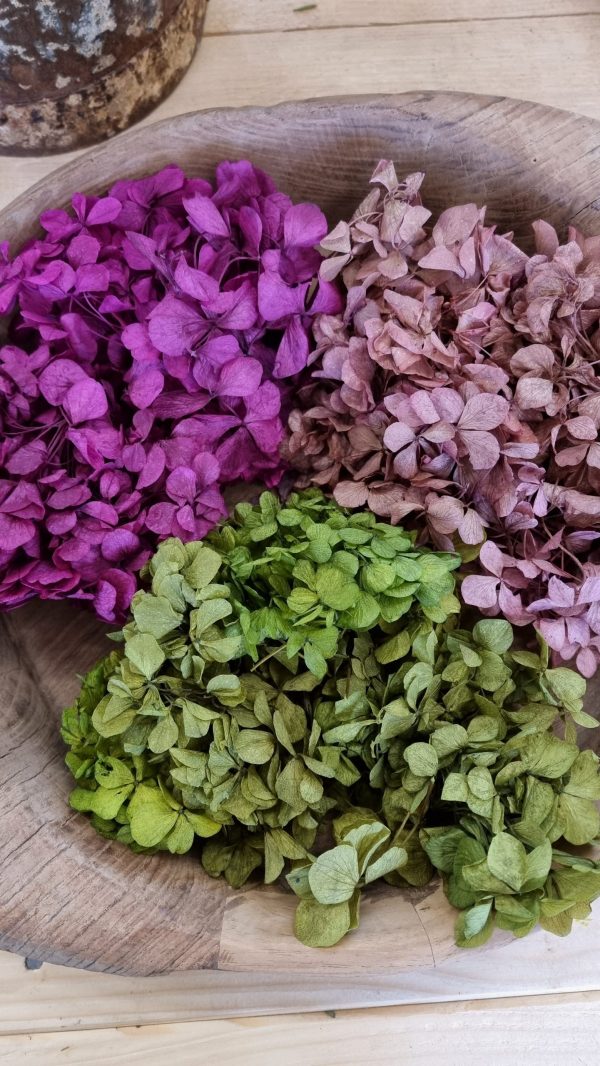 Hortensienblüten getrocknet Trockenblumen Hortensie violett rosa grün kreativsein im Mrs Greenery Shop bestellen kaufen