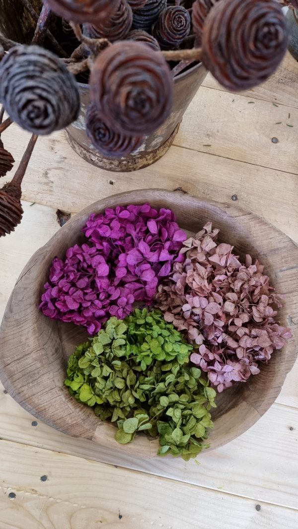 Hortensienblüten getrocknet Trockenblumen Hortensie violett rosa grün kreativsein im Mrs Greenery Shop bestellen kaufen