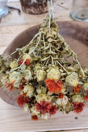 carthamus orange bund strauss trockenblumen getrocknete blüten im mrs greenery shop bestellen kaufen