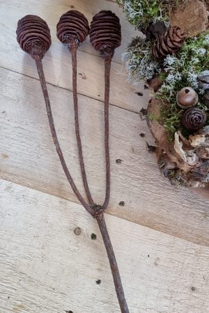 spiralzapfen zapfen natur murii zapfen im mrs greenery shop bestellen kaufen