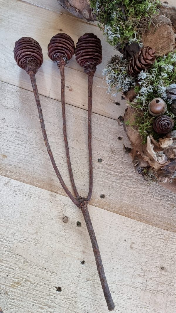 spiralzapfen zapfen natur murii zapfen im mrs greenery shop bestellen kaufen