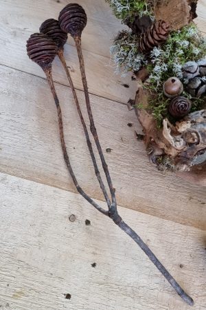 spiralzapfen zapfen natur murii zapfen im mrs greenery shop bestellen kaufen