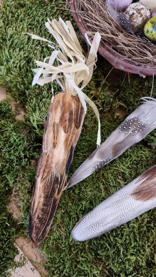 möhrchen möhren karotte deko osterdeko ostern naturdeko im mrs greenery shop bestellen kaufen