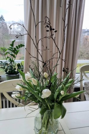 Erle Schwarzerle Zweige Stengel Bund Frühlingsdeko Herbstdeko Winterdkeko Weihnachtsdeko im Mrs Greenery Shop bestellen kaufen