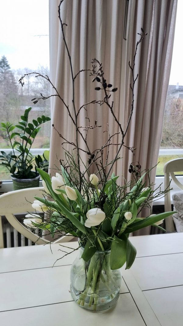 Erle Schwarzerle Zweige Stengel Bund Frühlingsdeko Herbstdeko Winterdkeko Weihnachtsdeko im Mrs Greenery Shop bestellen kaufen