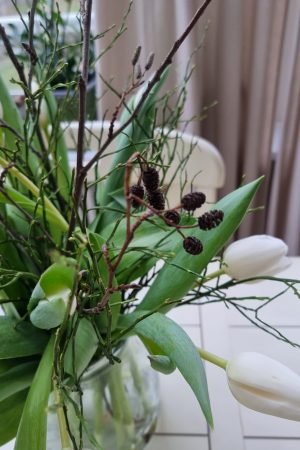 Erle Schwarzerle Zweige Stengel Bund Frühlingsdeko Herbstdeko Winterdkeko Weihnachtsdeko im Mrs Greenery Shop bestellen kaufen