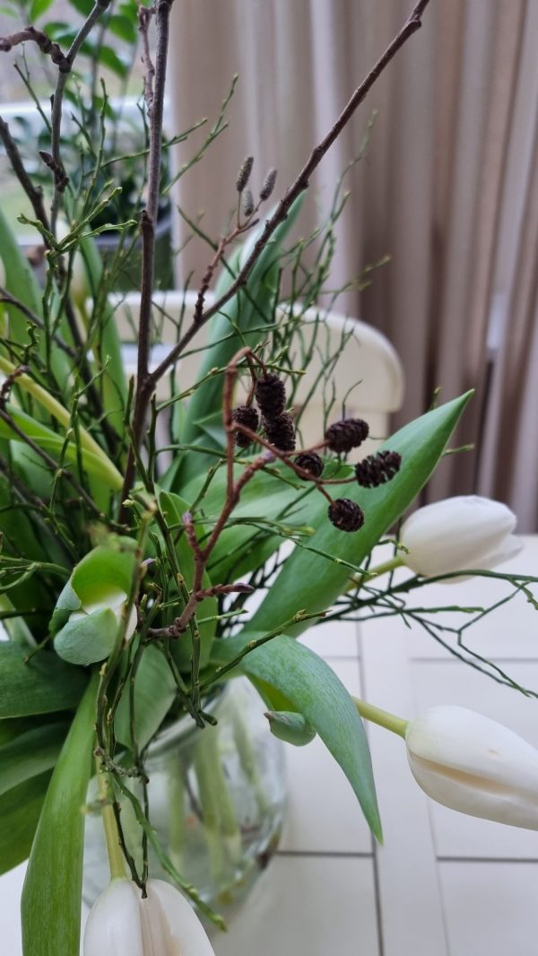 Erle Schwarzerle Zweige Stengel Bund Frühlingsdeko Herbstdeko Winterdkeko Weihnachtsdeko im Mrs Greenery Shop bestellen kaufen
