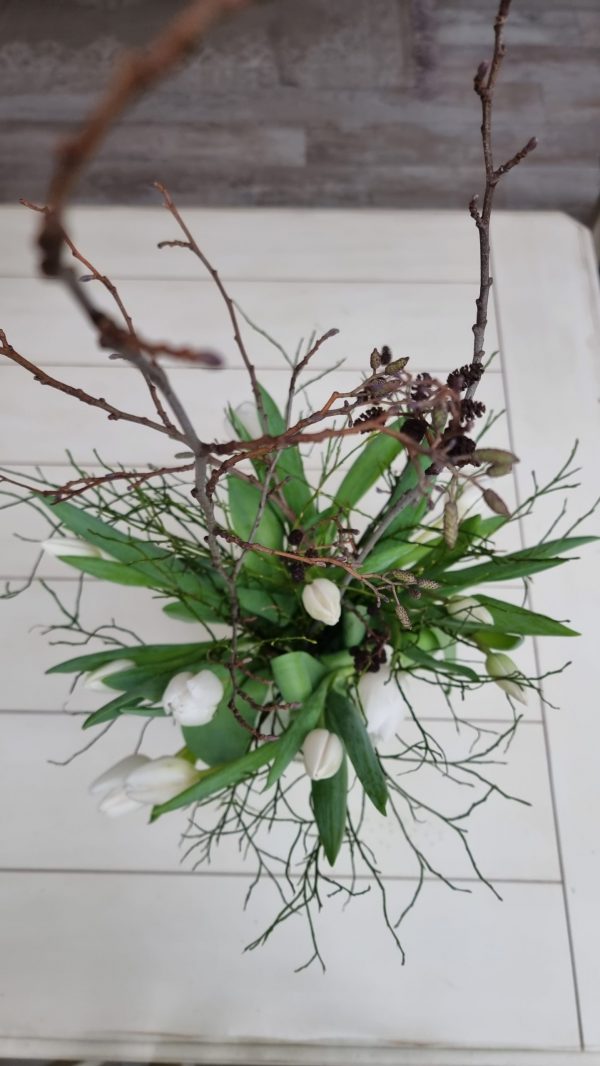 Erle Schwarzerle Zweige Stengel Bund Frühlingsdeko Herbstdeko Winterdkeko Weihnachtsdeko im Mrs Greenery Shop bestellen kaufen
