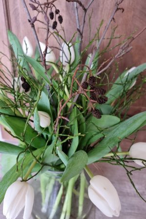 Erle Schwarzerle Zweige Stengel Bund Frühlingsdeko Herbstdeko Winterdkeko Weihnachtsdeko im Mrs Greenery Shop bestellen kaufen