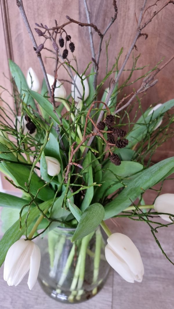 Erle Schwarzerle Zweige Stengel Bund Frühlingsdeko Herbstdeko Winterdkeko Weihnachtsdeko im Mrs Greenery Shop bestellen kaufen