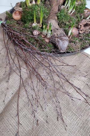 birkenreisig frühlingsdeko birke reisig im mrs greenery shop bestellen kaufen