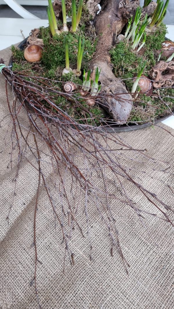 birkenreisig frühlingsdeko birke reisig im mrs greenery shop bestellen kaufen