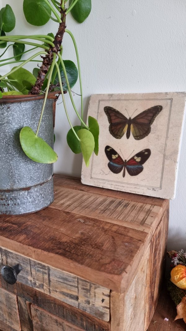 Bild Wandbild Schmetterlinge Platte zum Aufhängen natüröich dekorieren Mrs Greenery Shop bestellen kaufen