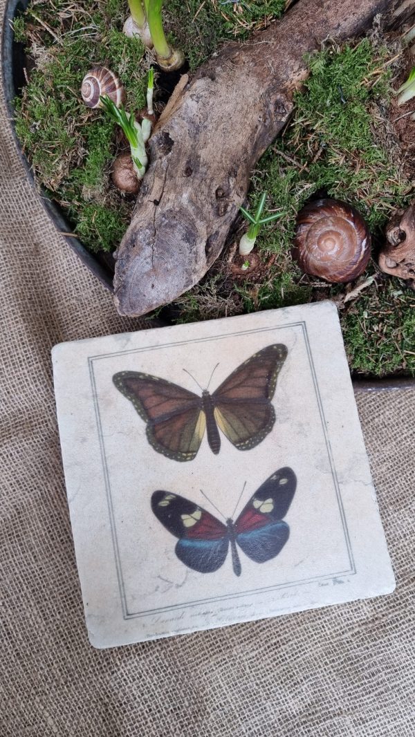 Bild Wandbild Schmetterlinge Platte zum Aufhängen natüröich dekorieren Mrs Greenery Shop bestellen kaufen