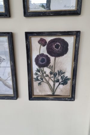 Botanische Drucke Blumenbild Holz Glas Bild Motiv Blumen im Mrs Greenery Shop kaufen bestellen Naturdeko Deko natürlich dekorieren