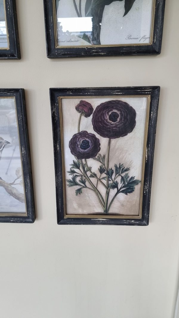 Botanische Drucke Blumenbild Holz Glas Bild Motiv Blumen im Mrs Greenery Shop kaufen bestellen Naturdeko Deko natürlich dekorieren