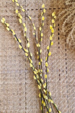 Weidekätzchen frisch gelb gefärbt Bund Ostern Frühling kreativsein kreativ im Mrs Greenery Shop bestellen kaufen