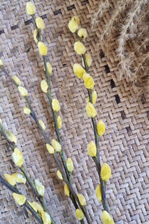 Weidekätzchen frisch gelb gefärbt Bund Ostern Frühling kreativsein kreativ im Mrs Greenery Shop bestellen kaufen