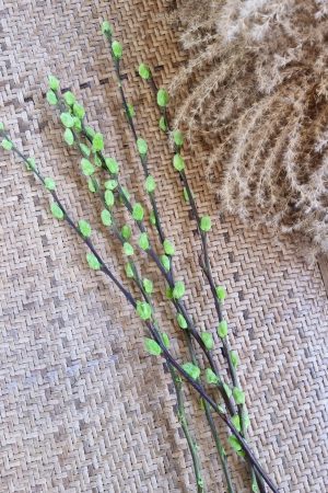 Weidekätzchen frisch grün gefärbt Bund Ostern Frühling kreativsein kreativ im Mrs Greenery Shop bestellen kaufen