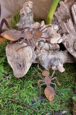 Rostdeko Osterdeko Frühlingsdeko Tischdeko Frühlingsblüher Ameise Käfer Insekten Metalldeko Dekoidee im Mrs Greenery Shop bestellen kaufen