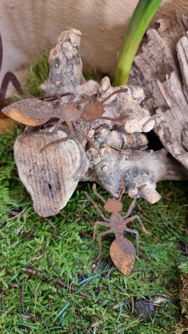 Rostdeko Osterdeko Frühlingsdeko Tischdeko Frühlingsblüher Ameise Käfer Insekten Metalldeko Dekoidee im Mrs Greenery Shop bestellen kaufen