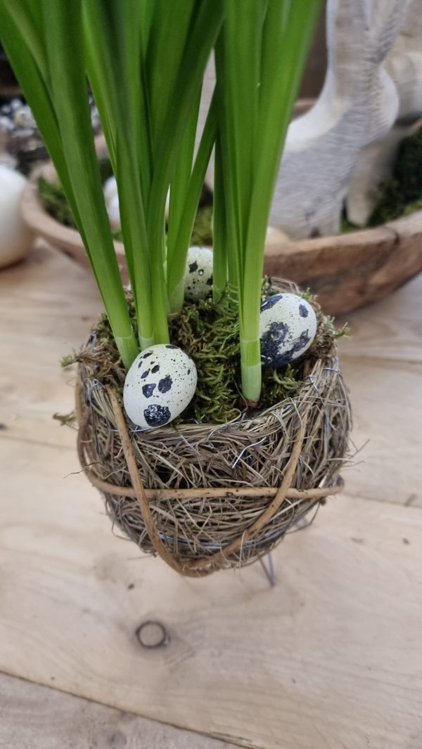 ei osterdeko naturdeko naturei topf frühlingsdeko ostern eierdeko im mrs greenery shop bestellen kaufen