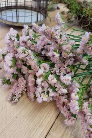 Strandflieder gefüllt Flieder frisch getrochnet im Mrs Greenery Shop bestellen kaufen